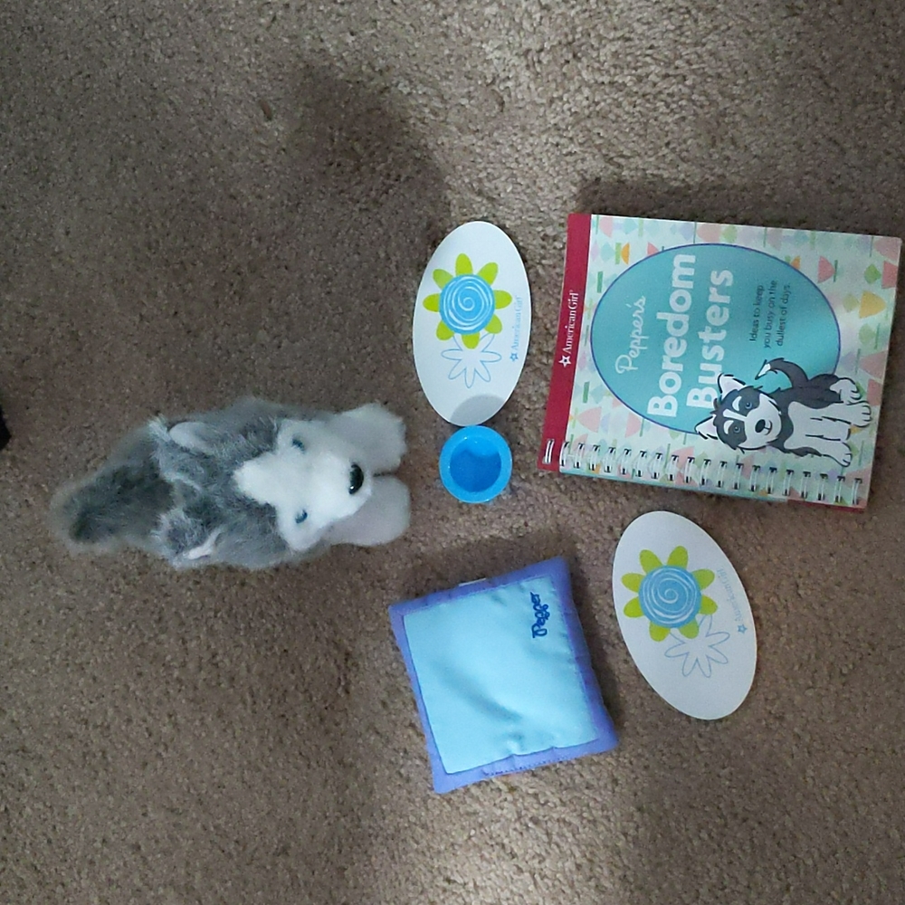 American Girl Pepper's travel carrier set